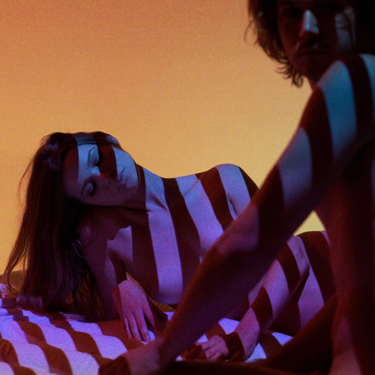 Swan Song . The Plot In You . Vinyl