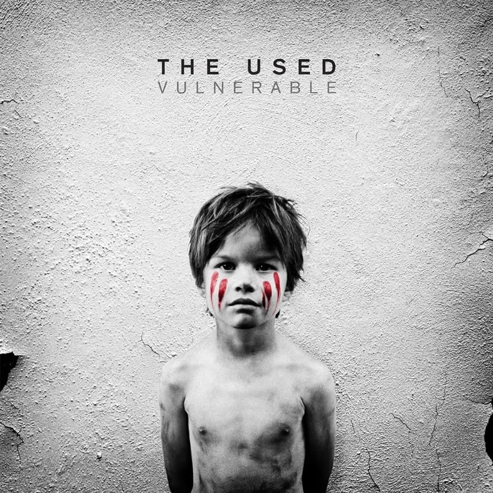 Vulnerable . The Used . Vinyl