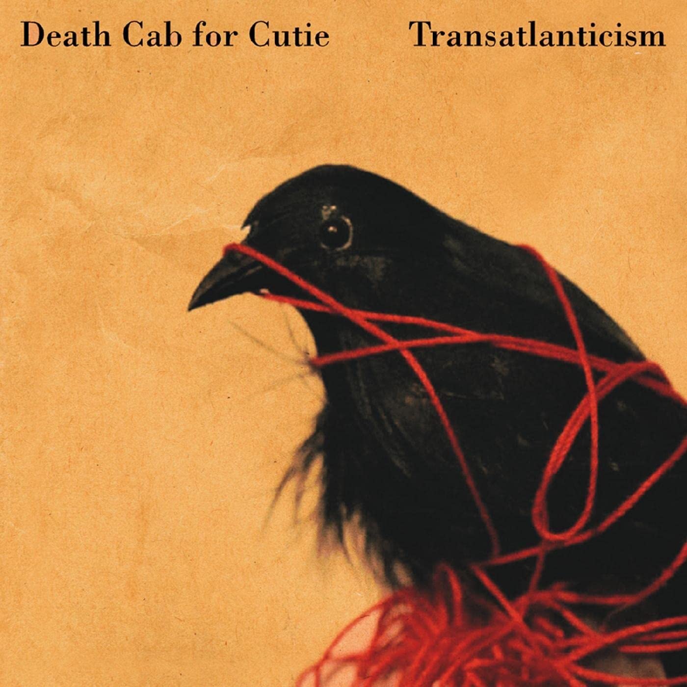 Transatlanticism . Death Cab For Cutie . Vinyl