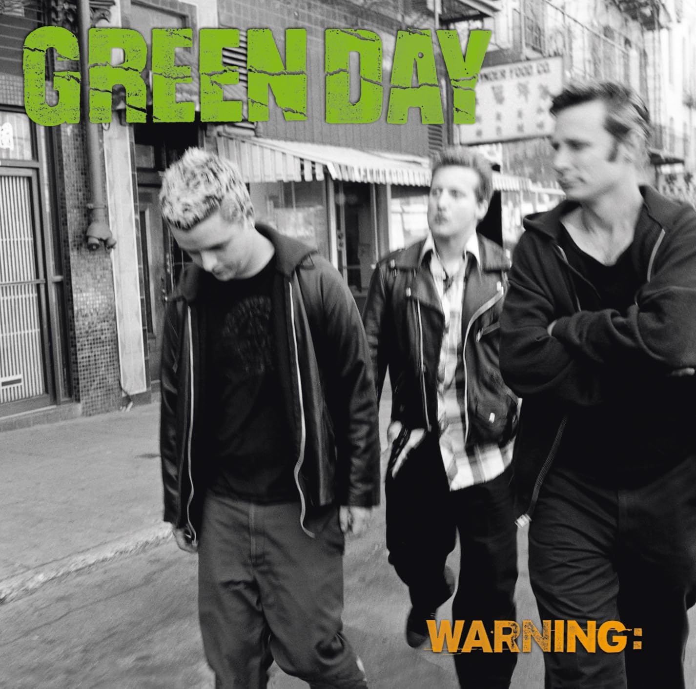 Warning . Green Day . Vinyl