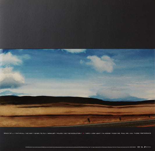 Yield . Pearl Jam . Vinyl