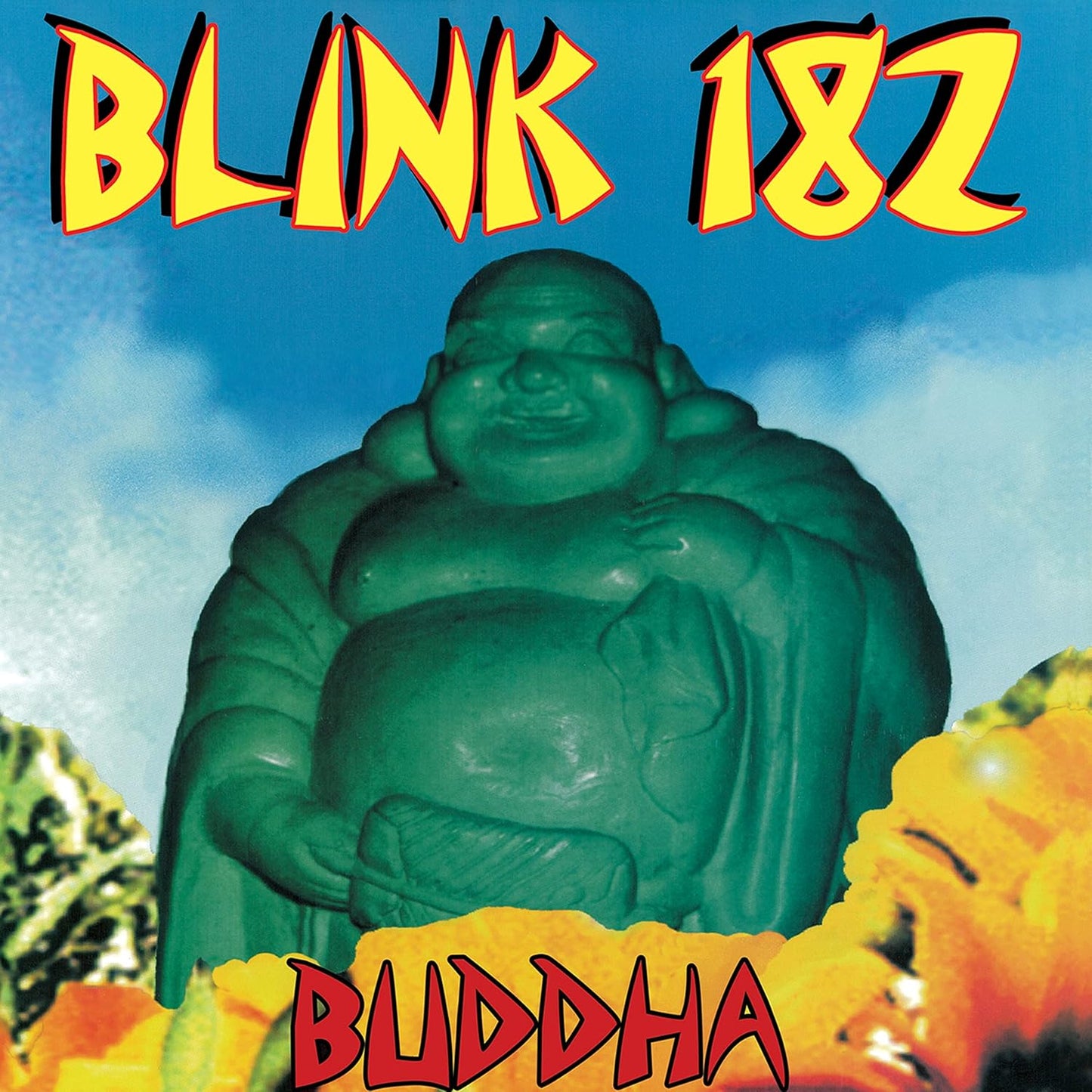 Buddha . Blink-182 . Vinyl