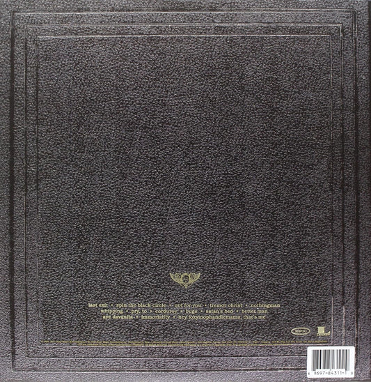 Vitalogy Remastered . Pearl Jam . Vinyl