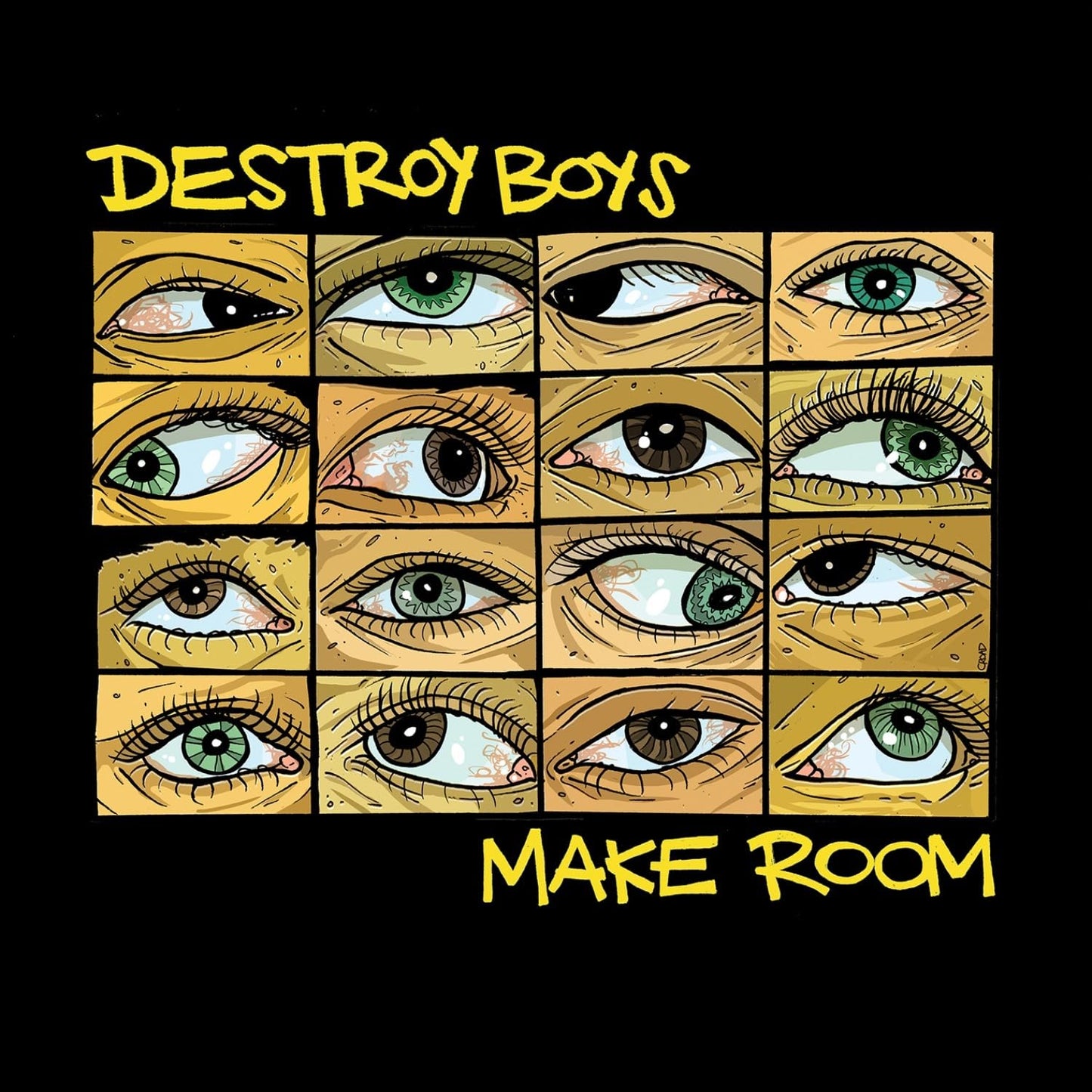 Make Room . Destroy Boys . Vinyl