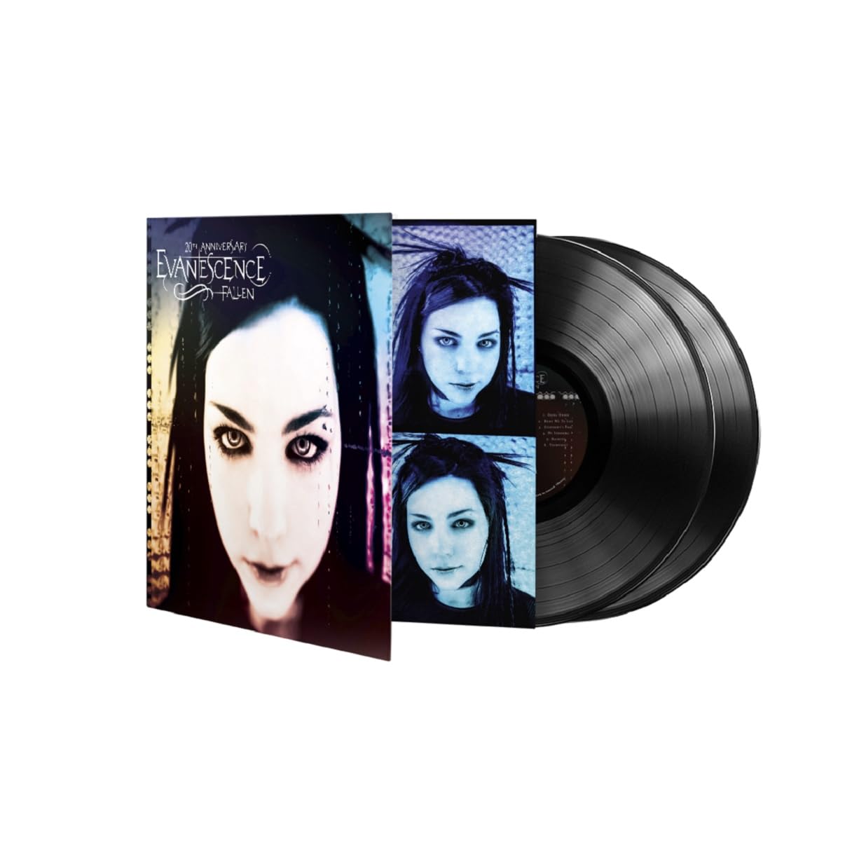 Fallen . Evanescence . Vinyl