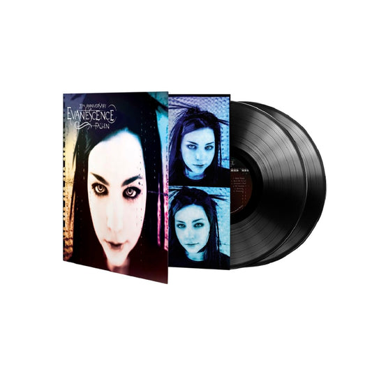Fallen . Evanescence . Vinyl