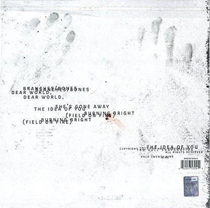 Not The Actual Events . Nine Inch Иails . Vinyl