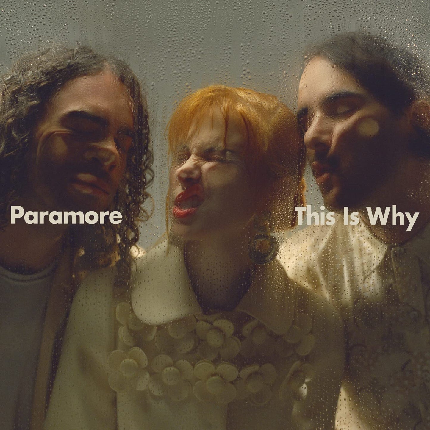 This Is Why . Paramore . Vinyl