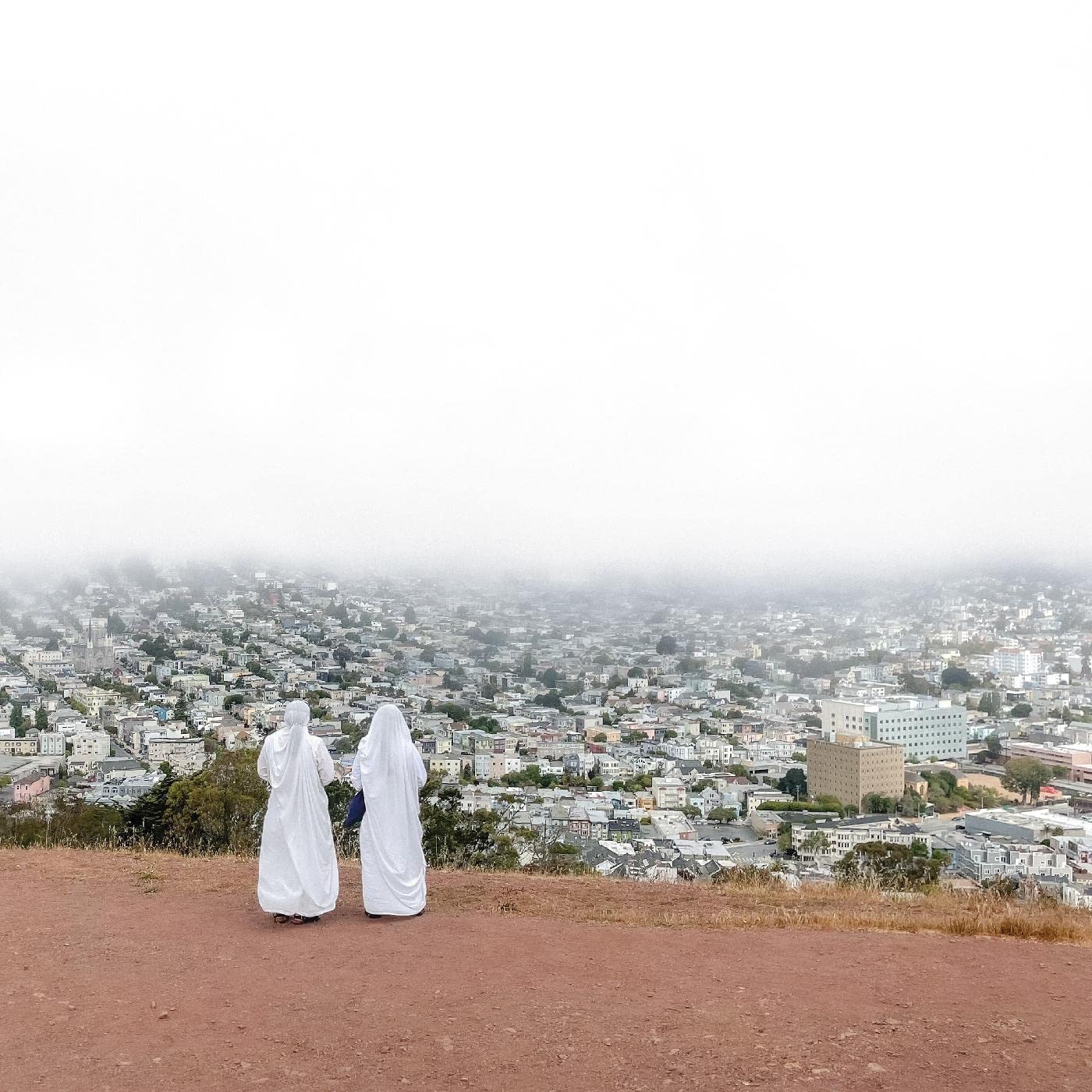 Asphalt Meadows . Death Cab For Cutie . Vinyl