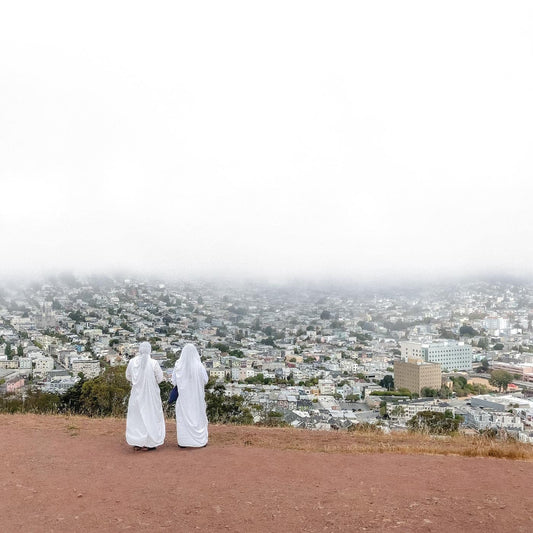 Asphalt Meadows . Death Cab For Cutie . Vinyl