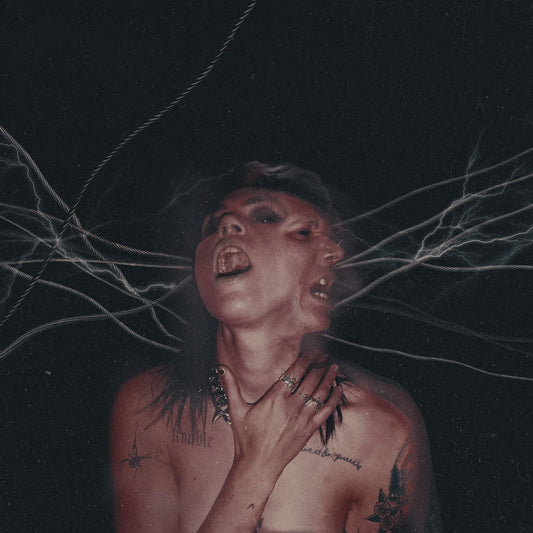 A Call To The Void . Hot Milk . CD