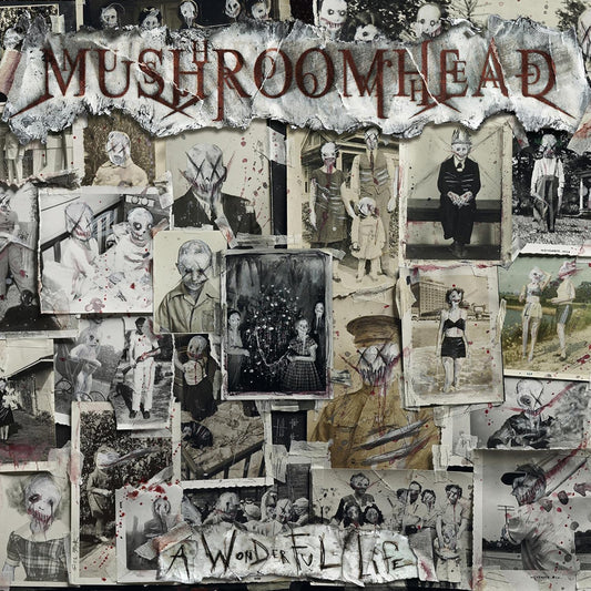 A Wonderful Life . Mushroomhead . CD