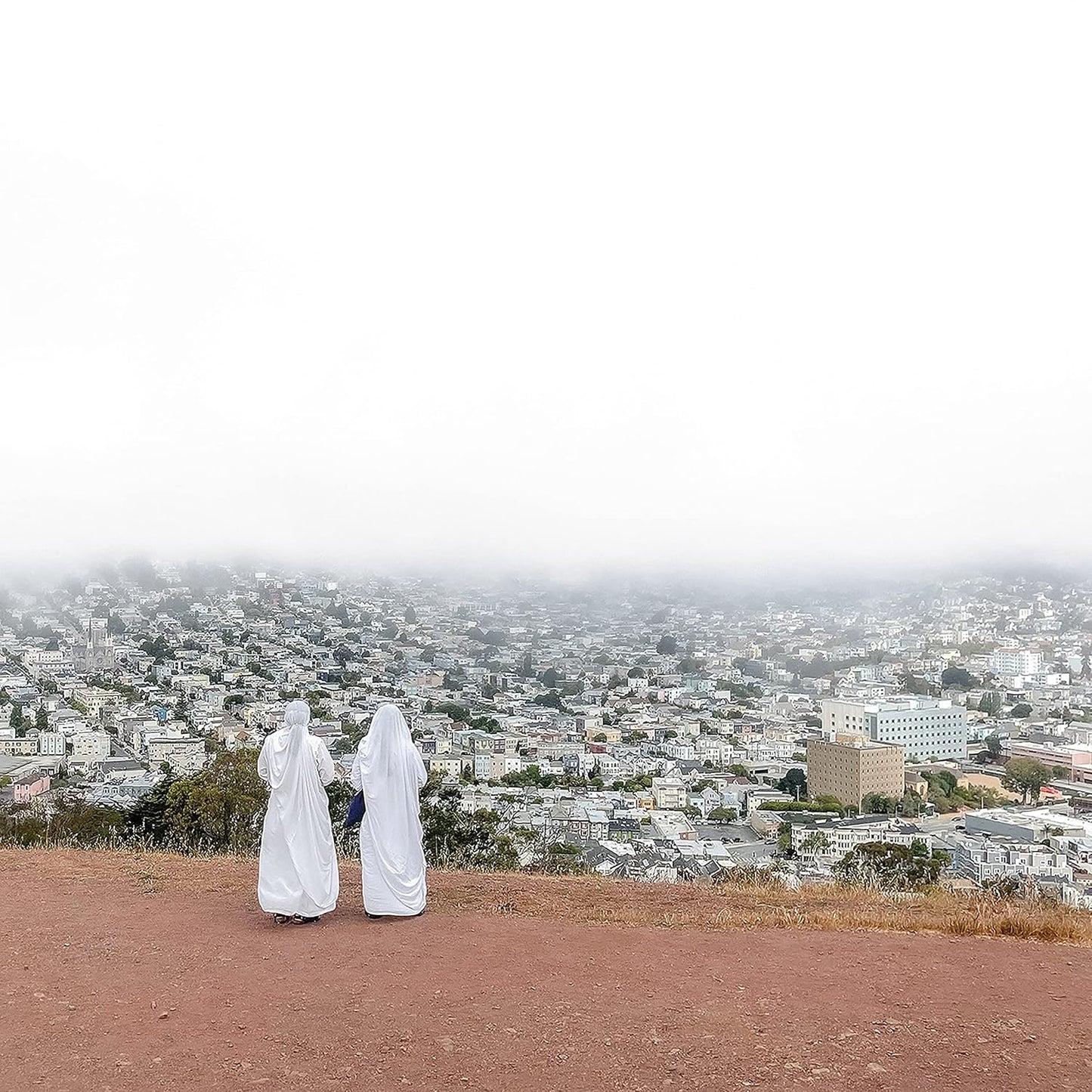 Asphalt Meadows . Death Cab For Cutie . CD