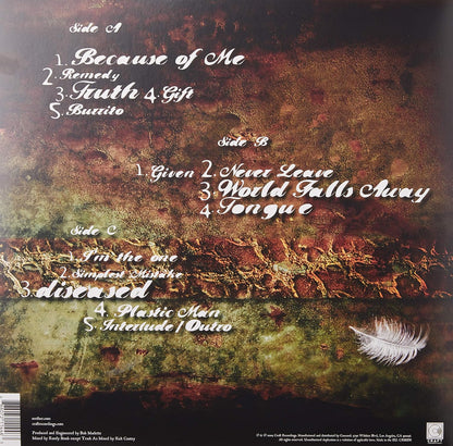 Karma And Effect . Seether . Vinyl