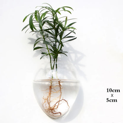 Fashion Wall Hanging Glass Flower Vase Terrarium Wall Fish Tank Aquarium Container Flower Planter Pots Home Garden Decoration