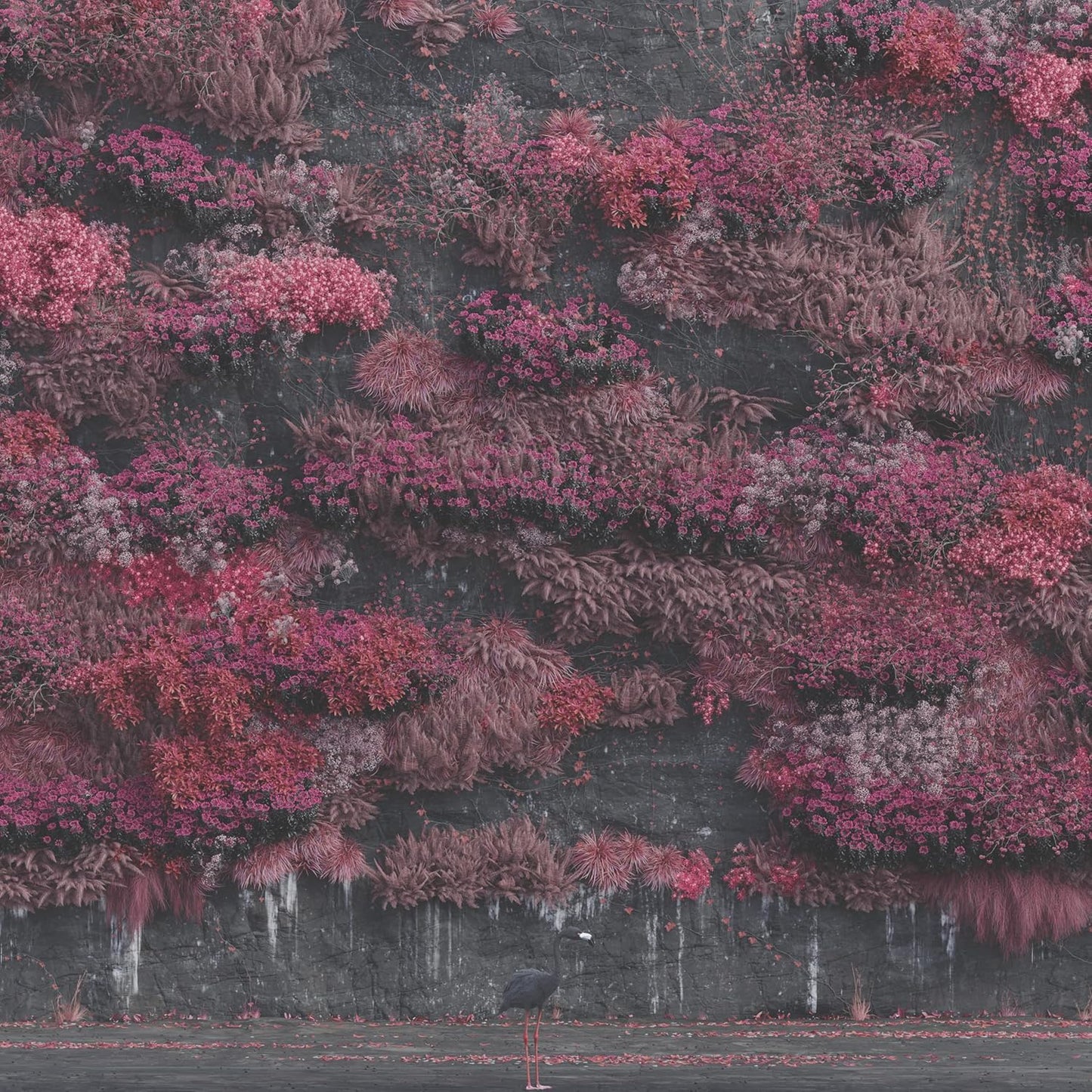 Even In Arcadia . Sleep Token . CD