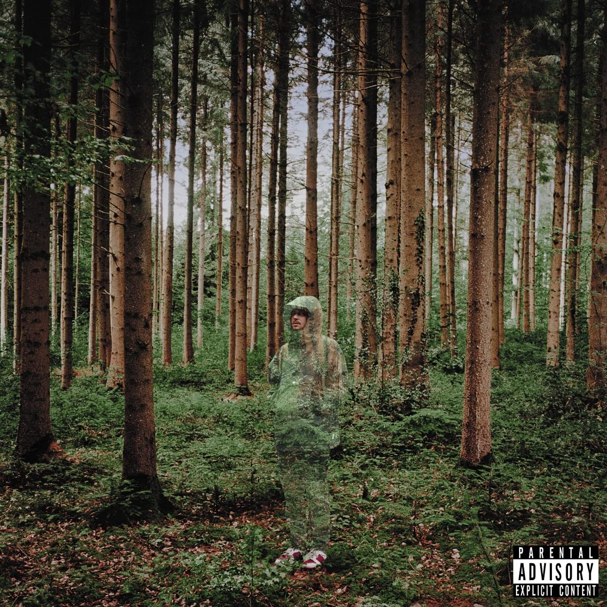 I Love You, I'm Trying . grandson . CD