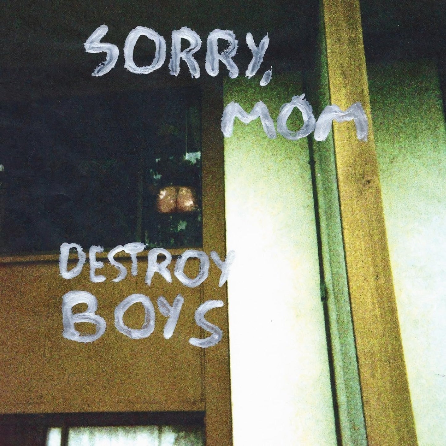 Sorry, Mom . Destroy Boys . Vinyl