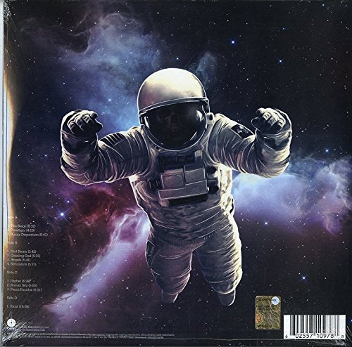 The Stage . Avenged Sevenfold . Vinyl